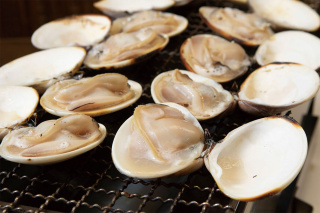 ばんや 焼きはまぐり 九十九里産の新鮮なはまぐりを炭火で豪快に焼く