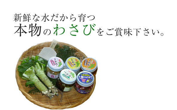 道の駅 天城越えのわさびの里