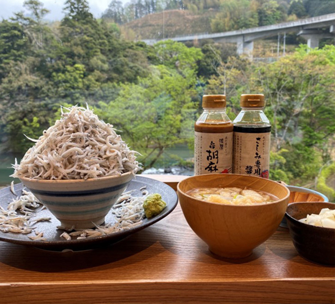 道の駅 伊豆月ケ瀬の名物しらす丼