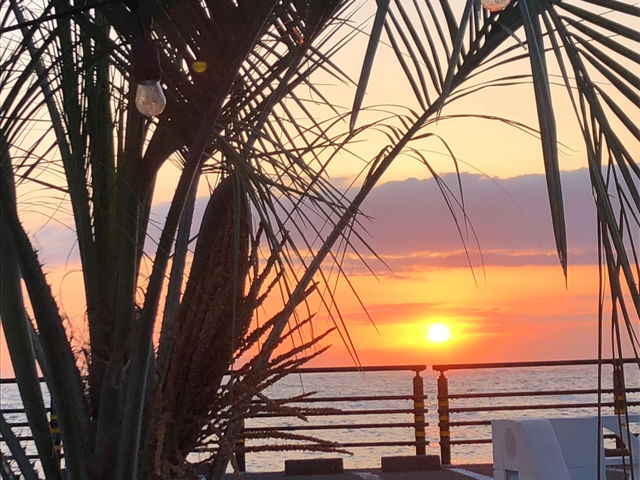 2nd.cafe 西伊豆・浮島海岸の絶景カフェ