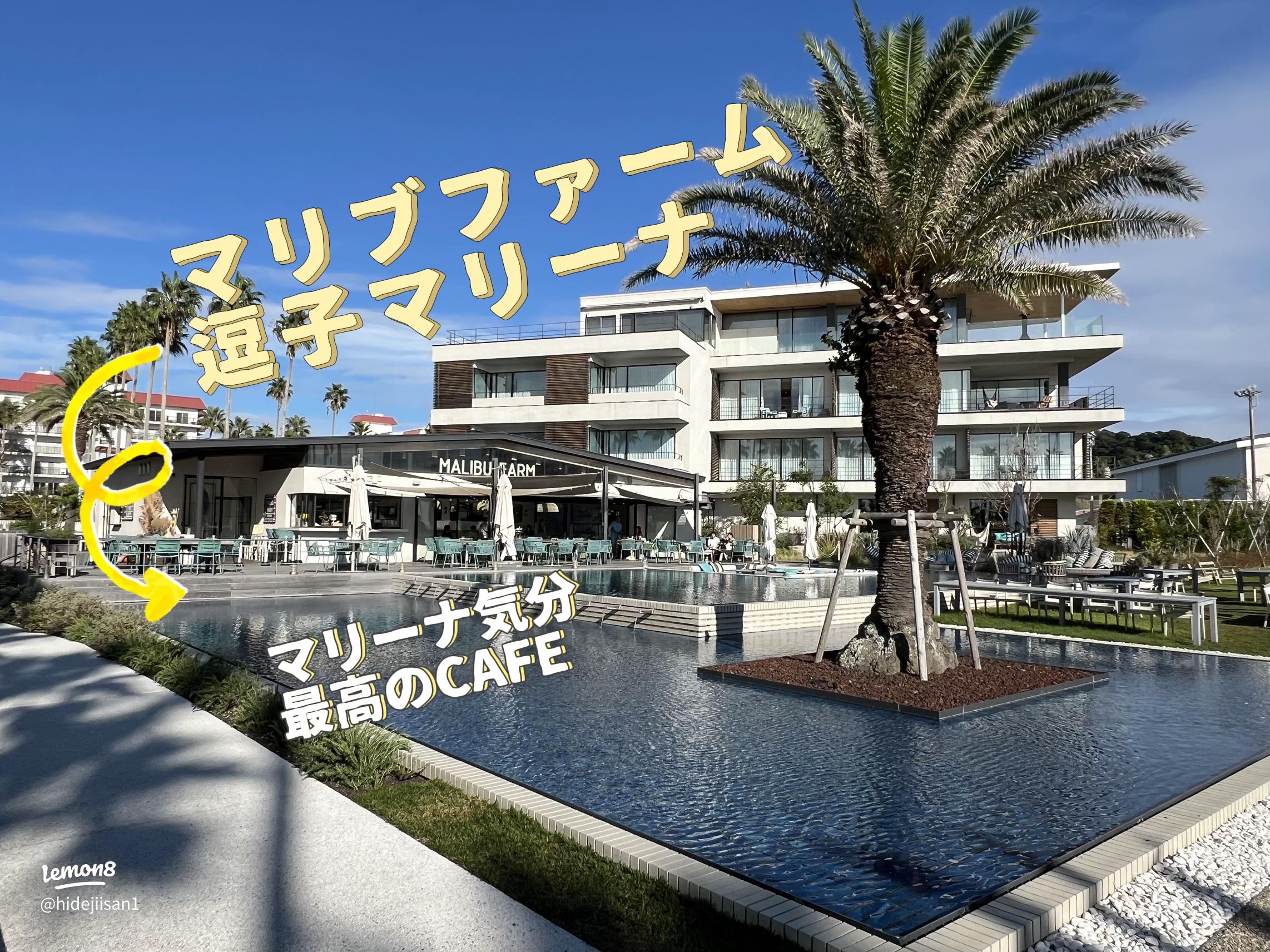 マリブファーム 逗子マリーナ テラス全景