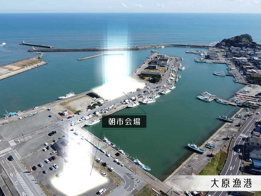 大原漁港と港の朝市会場の全景