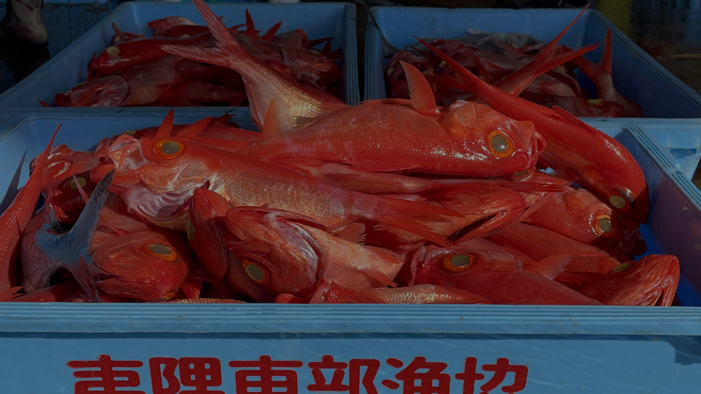 いさばやに並ぶ大原漁港で水揚げされた朝獲れの地魚